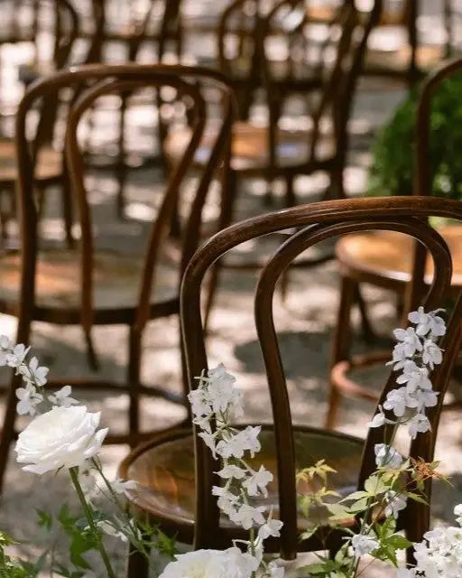 Bentwood Chairs - braun Aufzeit