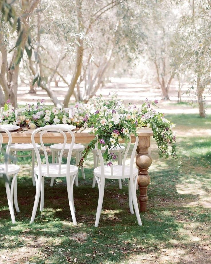 Bentwood Chairs - weiß