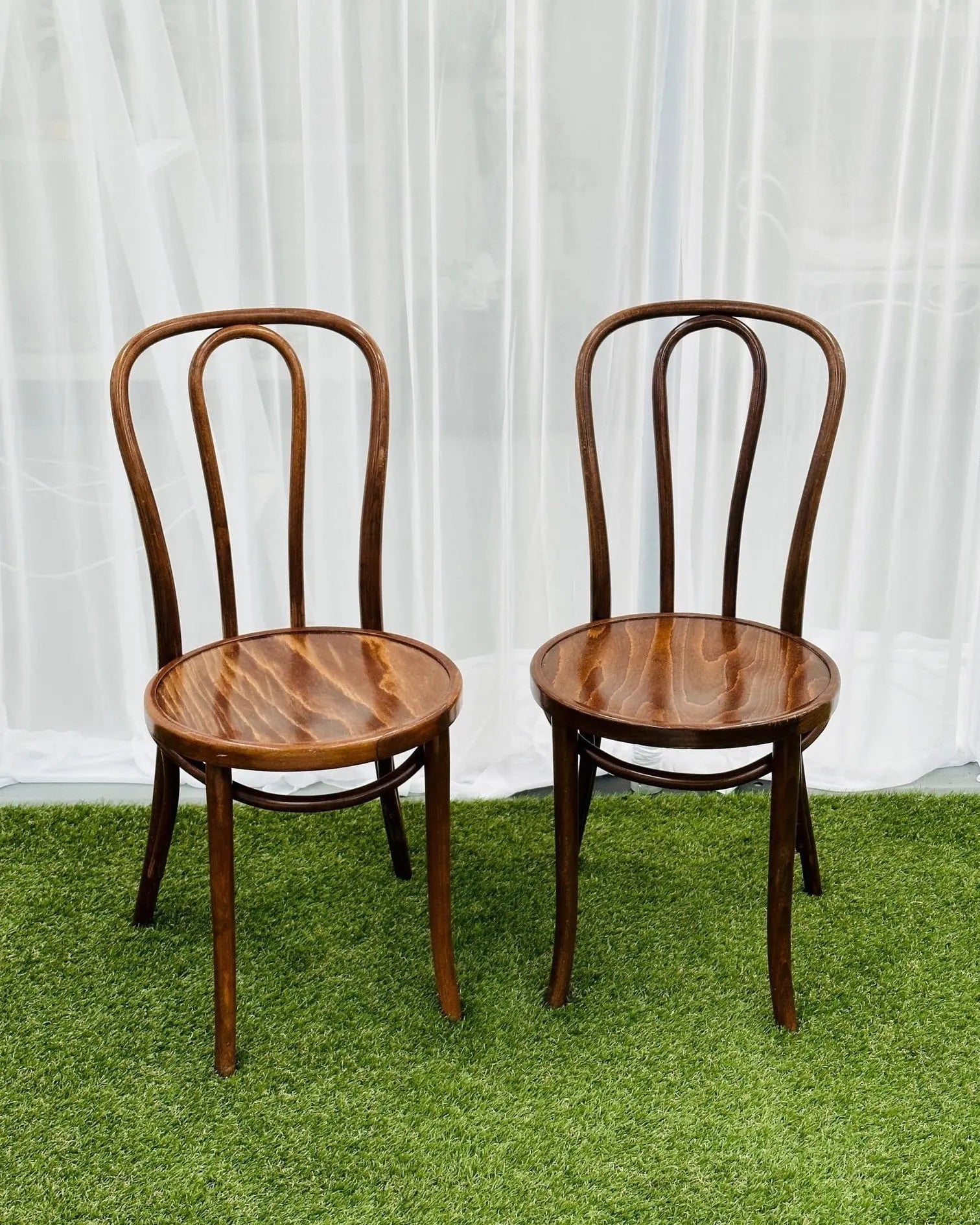 Bentwood Chairs - braun - aufZEIT