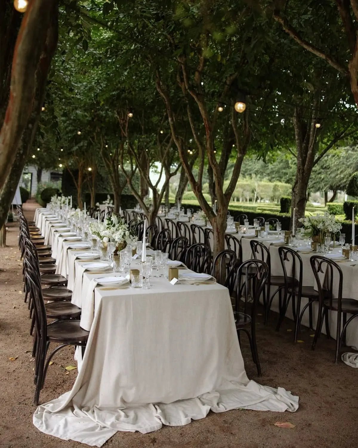 Bentwood Chairs - dunkelbraun - aufZEIT