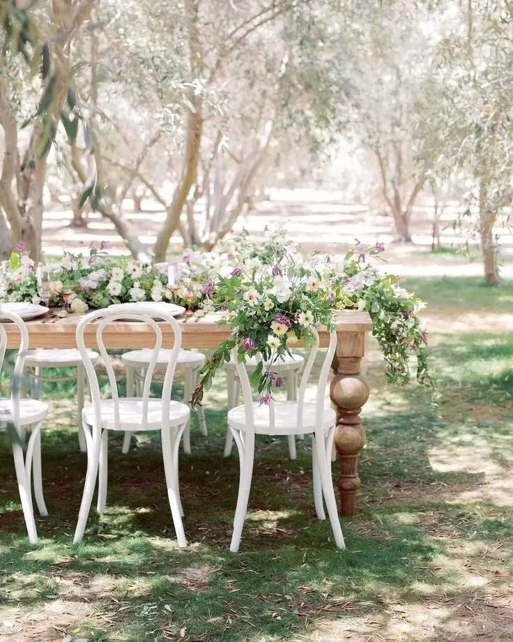 Bentwood Chairs - weiß - aufZEIT